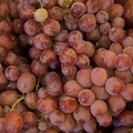 319-9528 Grapes